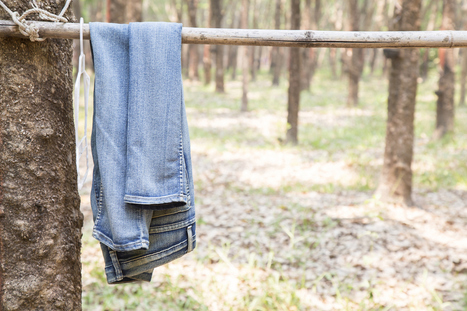 Lavez moins vos jeans, les moules vous diront merci | Toxique, soyons vigilant ! | Scoop.it