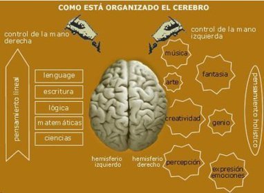 Neurociencia, emoción y educación | E-Learning-Inclusivo (Mashup) | Scoop.it