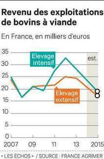 Viande bovine : le revenu des producteurs va encore chuter en 2015 | Economie de l'Elevage | Scoop.it