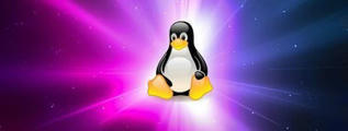 No todo es Ubuntu: seis distribuciones de Linux que cualquier usuario puede probar fácilmente | tecno4 | Scoop.it