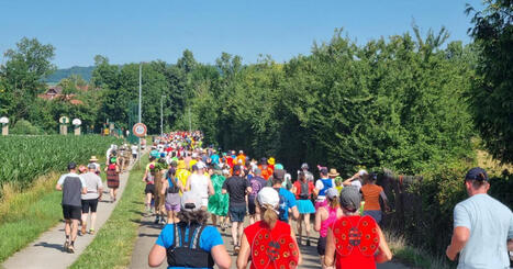 Canicule. Toutes les courses du marathon du Vignoble d'Alsace annul&eacute;es ce week-end | Alsace Actu | Scoop.it