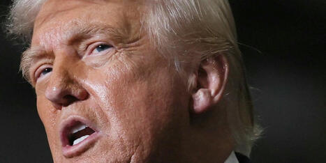 'MAGA rebellion': Top Trump ally says he isn't 'addressing the base's concerns' on Epstein - AlterNet | Operation Phobos | Scoop.it