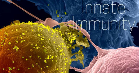 [MOOC] Innate Immunity : Les acteurs et l'ensemble de l'orchestre impliqués dans l'immunité innée contre les agents pathogènes | EntomoScience | Scoop.it