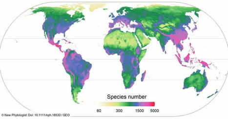 Des chercheurs produisent une carte mondiale de la biodiversité végétale | Biodiversité | Scoop.it