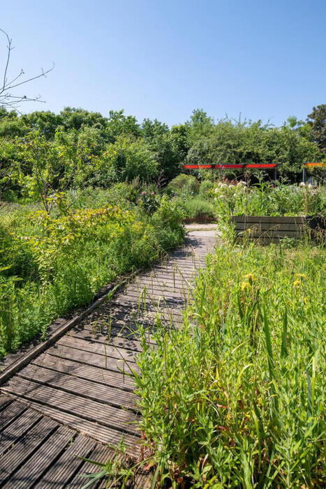 Le parc de La&nbsp;Villette se r&eacute;invente, entre ferme urbaine, biodiversit&eacute; retrouv&eacute;e et adaptation au changement climatique | Les Colocs du jardin | Scoop.it