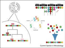 Evolutionary insights and guidelines to achieve effective and high-yield non-ribosomal peptide and polyketide engineering | cin | RMH | Scoop.it