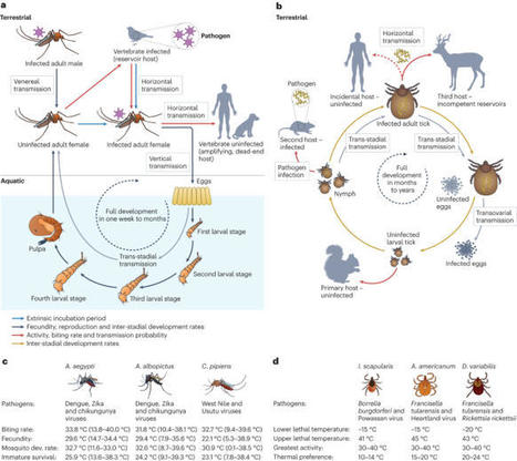 Effects of climate change and human activities on vector-borne diseases | Nature Reviews Microbiology | Salud Publica | Scoop.it