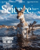 Eosinophils increase airway sensory nerve density in mice and in human asthma | Allergy (and clinical immunology) | Scoop.it