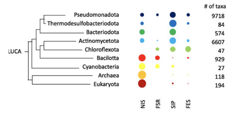 Iron Binding before Iron Limitation: Siderophore synthesis arose well before iron became a limiting element | isme | RMH | Scoop.it