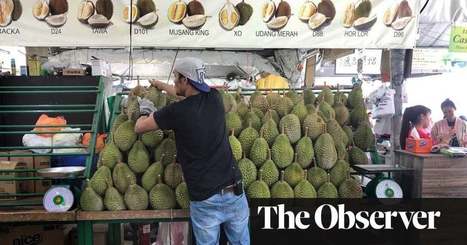 Durian: the foul-smelling fruit that could make Malaysia millions | World news | The Guardian | Microeconomics: IB Economics | Scoop.it