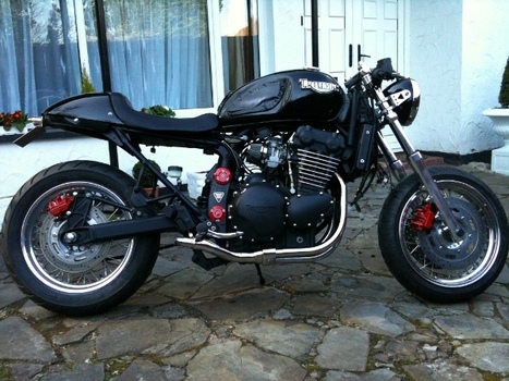 triumph tiger 900 scrambler