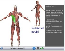 7 Wonderful iPad Apps to Learn about Human Body in 3D ~ Educational Technology and Mobile Learning | Educación Física. Compartiendo en la Red | Scoop.it