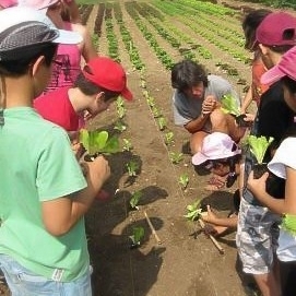 Ouest France : "Bien-être, bien commun | La ville qui nourrit ses enfants moins cher et bio | Ce monde à inventer ! | Scoop.it