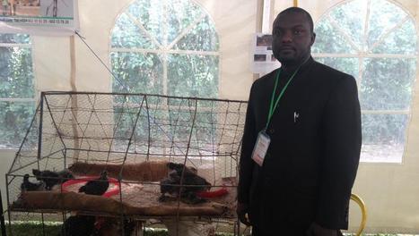  Niger: l'innovation dans le secteur agropastoral | AFRIQUES | Scoop.it