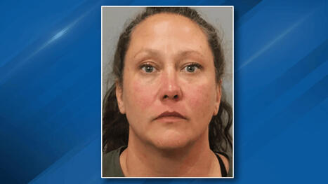 Woman who pleaded guilty to sexually assaulting toddler, bestiality sentenced - Mid-Michigan Now | Operation Phobos | Scoop.it