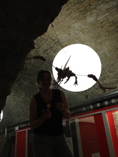 Fabulous Pterosaur | Artefacts num&eacute;riques | Caf&eacute; des Sciences | Scoop.it