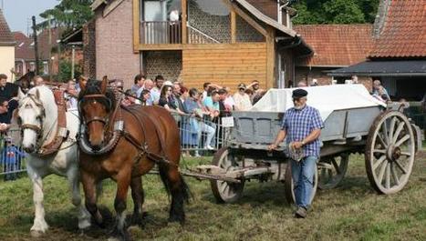 Steenwerck : un millier de personnes à la fête du Cheval de trait au musée de la Vie rurale - La Voix du Nord | Salon du Cheval | Scoop.it