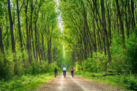 How Nature Helps Us Heal | Psicología Positiva,Felicidad y Bienestar. Positive Psychology,Happiness & Well-being | Scoop.it