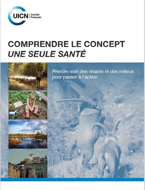 Une seule sant&eacute; : le Comit&eacute; fran&ccedil;ais de l&rsquo;UICN appelle &agrave; int&eacute;grer la biodiversit&eacute; au c&oelig;ur des politiques de sant&eacute;&nbsp; | Biodiversit&eacute; | Scoop.it