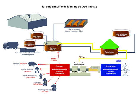Méthanisation agricole – Un exemple de fonctionnement dans une ferme | Transition énergétique territoriale | Scoop.it