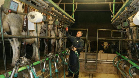 « J’aime voir la nature se réveiller » : agriculteur en Mayenne, Mickaël se lève chaque jours à 5 h | Elevage et société | Scoop.it