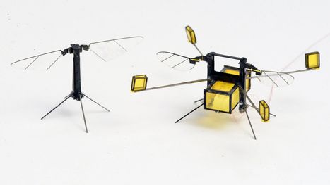 Scientists made robotic bees to one day study the ocean | Remotely Piloted Systems | Scoop.it