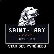 Animations à Saint-Lary - Office de Tourisme de St-Lary | Vallées d'Aure & Louron - Pyrénées | Scoop.it