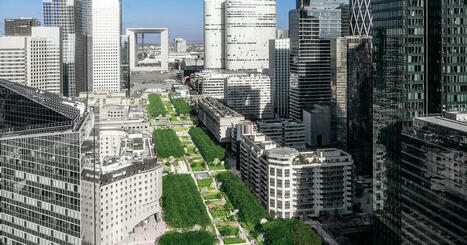 Paris-La D&eacute;fense d&eacute;marre les travaux de v&eacute;g&eacute;talisation de l'esplanade | Urbanisme - Am&eacute;nagement | Scoop.it