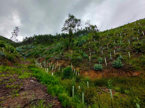 Basque Country's Soil Protection Strategy Euskadi 2030 – | Energy Transition in Europe | www.energy-cities.eu | Scoop.it