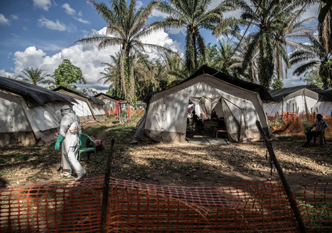 Large Ebola Outbreak Is Declared in Congo | Virus World | Scoop.it