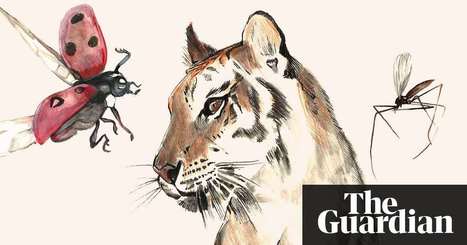 What is biodiversity and why does it matter to us? | News | The Guardian | Innovation, D&eacute;veloppement Durable, RSE | Scoop.it
