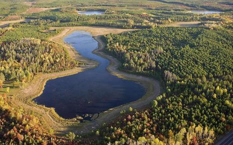 Opinion: Douglas County forestland a bargain | Timberland Investment | Scoop.it