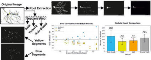 Automated computer vision-based quantification ...