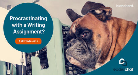 Procrastinating with a Writing Assignment? | 212 Careers | Scoop.it