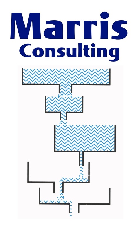 Marris Consulting - Les experts du Management de Projets par la Chaîne Critique | Chaîne Critique | Scoop.it