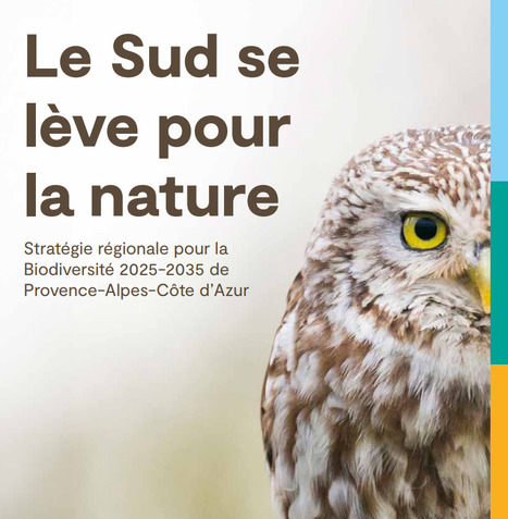 Stratégie régionale pour la Biodiversité 2025-2035 de Provence-Alpes-Côte d’Azur | Aménagement durable | Scoop.it