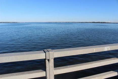 SJRA discusses $5.8M in projects for Lake Conroe, Bear Branch divisions | exTRA by the Trinity River Authority of Texas | Scoop.it