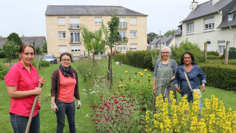 Dinan. Le verger de l&rsquo;all&eacute;e des Roses est en fleurs | L'actualit&eacute; des quartiers politique de la ville de Bretagne et Pays de la Loire | Scoop.it