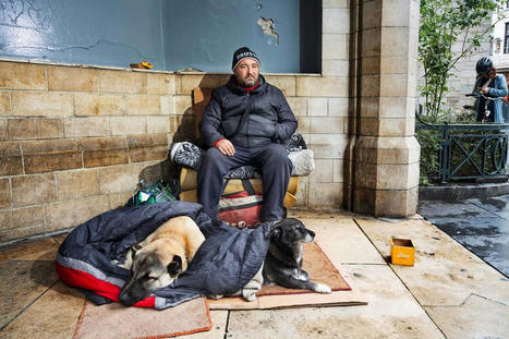 Honden helpen daklozen: 'De jack russell die iedereen aan het praten krijgt' | BRUZZ | Infirmiers de rue - Straatverplegers | Scoop.it