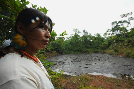 Indigenous territories maintain Amazon forest just as well as protected areas, study finds | RAINFOREST EXPLORER | Scoop.it
