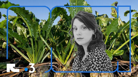 Emilie Rosso de France 3: &laquo;Parfois on fait des enqu&ecirc;tes pour documenter le pr&eacute;sent et laisser une trace&raquo; | DocPresse ESJ Lille | Scoop.it