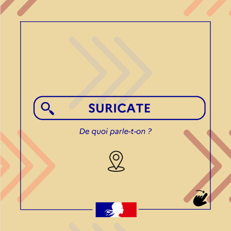 Suricate ; tous sentinelle des #sports de nature  | 5 - Equipements et lieux de pratique | Scoop.it