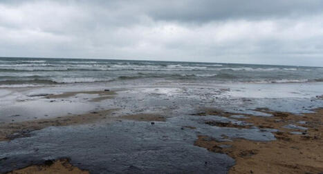 Kuban authorities have announced the absence of fuel oil emissions on the coast / le 21.10.2025 | Pollution accidentelle des eaux (+ déchets plastiques) | Scoop.it