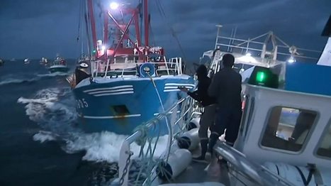 Scallop war: French and British boats clash in Channel | Coastal Restoration | Scoop.it