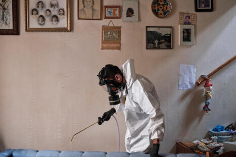 Avec les exterminateurs d&rsquo;insectes&nbsp;: &laquo;&nbsp;Une infestation de punaises ou de cafards, &ccedil;a a un impact sur la sant&eacute; mentale&nbsp;&raquo; | Vari&eacute;t&eacute;s entomologiques | Scoop.it