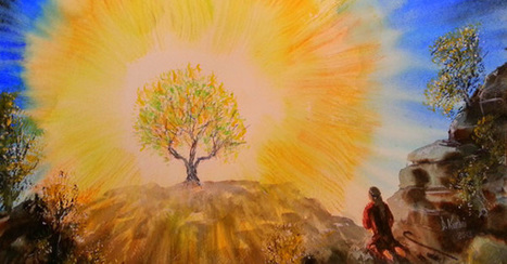 [Tome] | The Bible's Moses Was On DMT Says Hebrew Professor - TIMEWHEEL | meditation, spirituality and meaning | Scoop.it