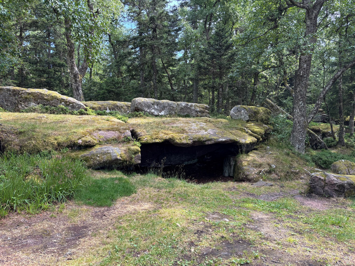 INSOLITE. &Agrave; la d&eacute;couverte du Taennchel, montagne sacr&eacute;e et myst&eacute;rieuse | Th&eacute;matique culture et histoire de l'Alsace | Scoop.it