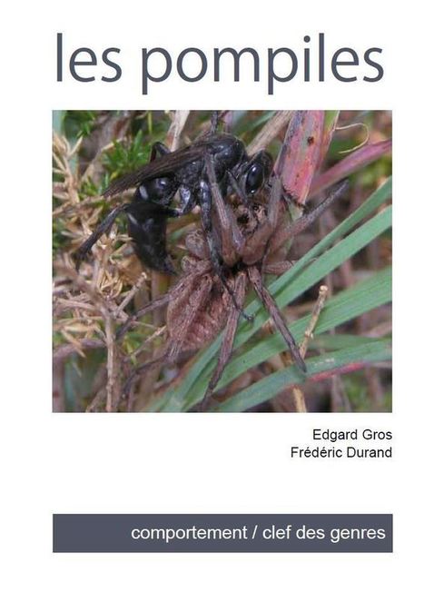Publication : Les Pompiles | Variétés entomologiques | Scoop.it