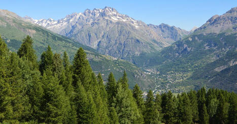 Dans les Alpes, la canicule provoque un record d&rsquo;&eacute;boulements | Biodiversit&eacute; - @ZEHUB on Twitter | Scoop.it