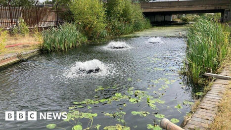 Cyanide levels in Walsall canal improve following toxic spill / le 28.08.2024 | Pollution accidentelle des eaux par produits chimiques | Scoop.it